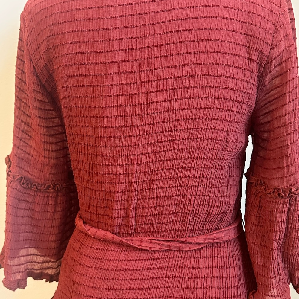 Entro Rust Red Mini Ruffle Dress - Picture 5 of 11